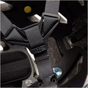 CASCO FOX SPEEDFRAME MARRON MOCA