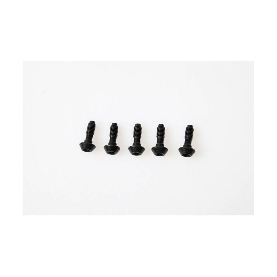 [2701400] TORNILLO MAGURA P/PINZA DE FRENO MT CONEX. LATIGUI